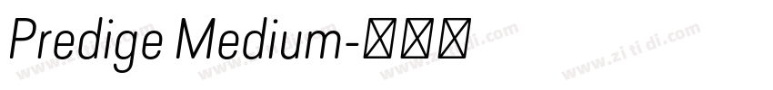 Predige Medium字体转换